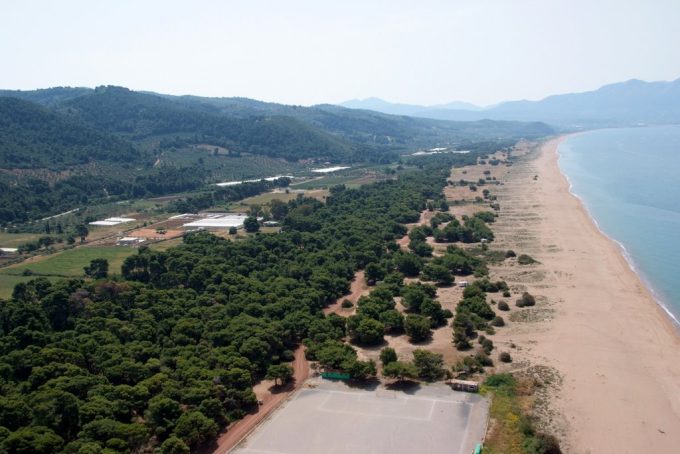 Elaia Beach
