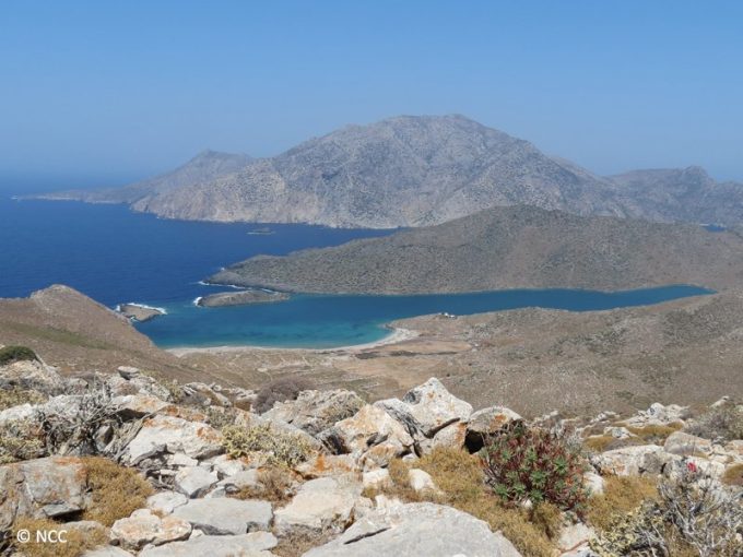 Saria islet