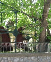 Tree of Hippocrates,Kos (Town)