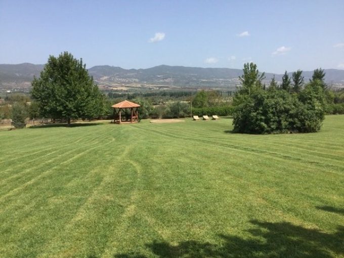 Amfikaia the farm