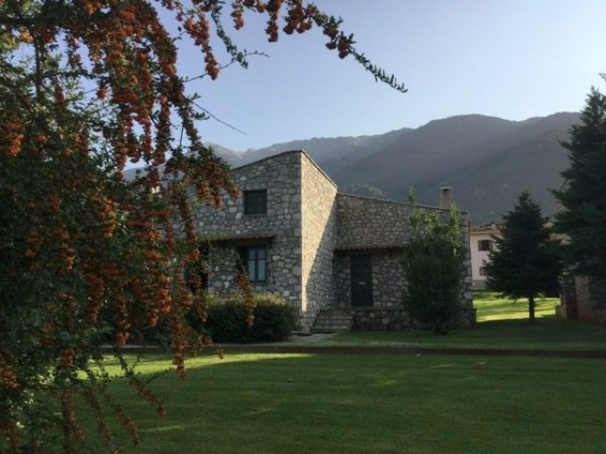 The houses