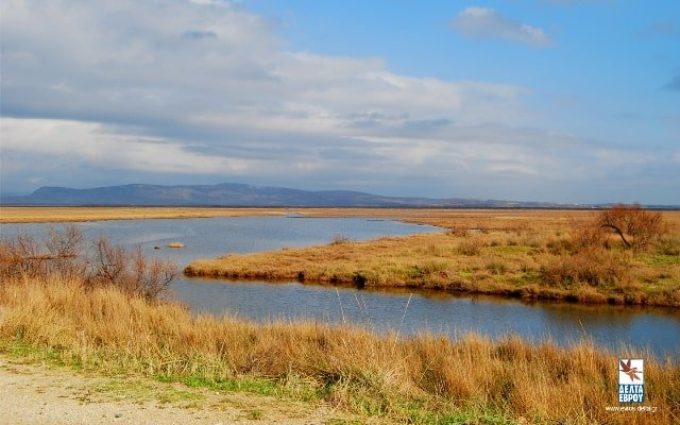 National Park Delta Evrou