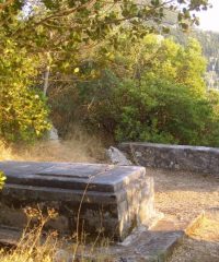 The tomb Wilhelm Dörpfeld
