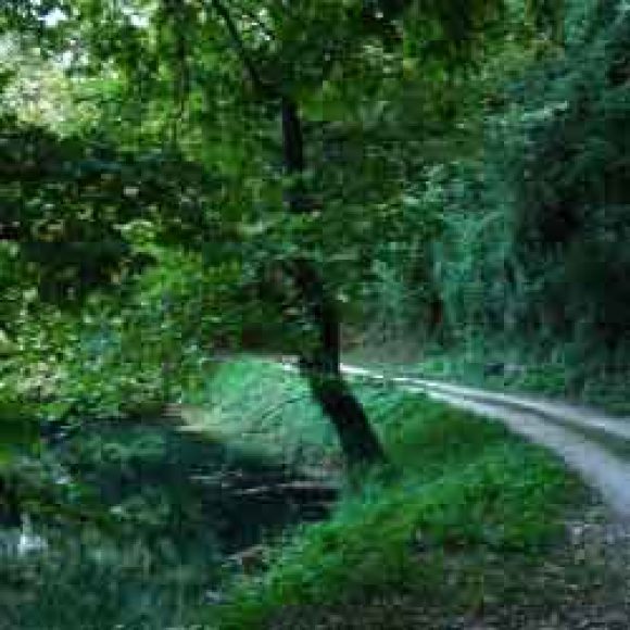 EPIRUS