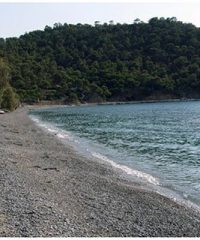 Kanakia Salamina island