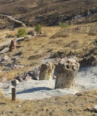 Απολιθωμένο Δάσος της Λέσβου