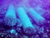 Methoni’s Shipwrecks
