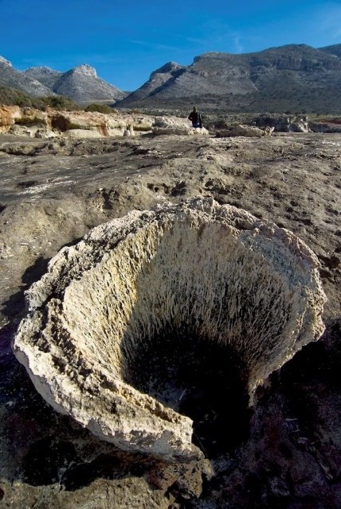 Απολιθωμένο δάσος στα Βάτικα