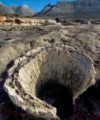 The petrified forest Vatika