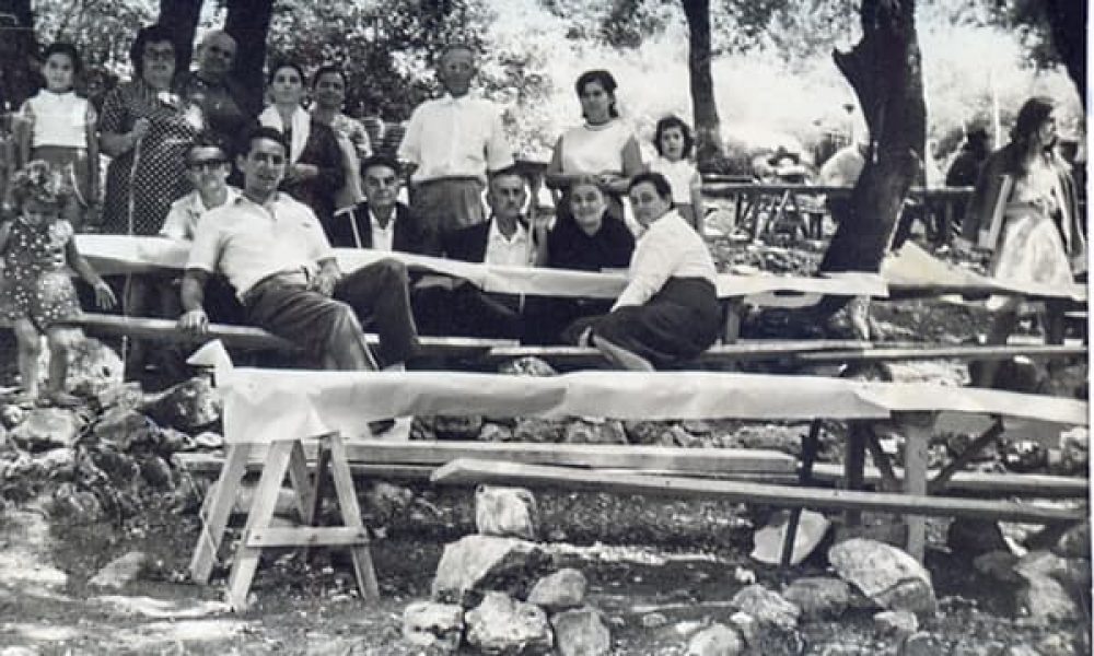 Pogoni festival