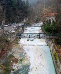 Canyon Ramno Bor