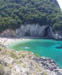 Ροβινιά