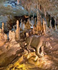 Petralona Cave Chalkidiki