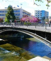Κεντρική πεζογέφυρα Τρικάλων