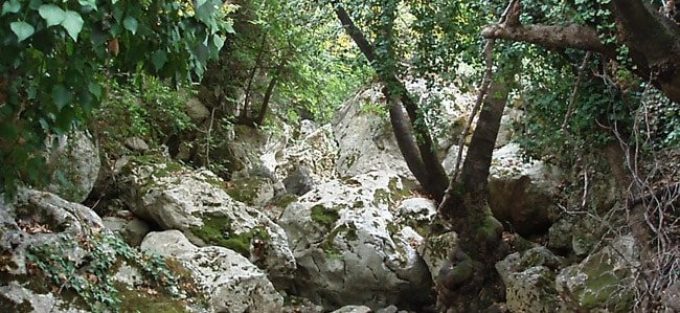 The gorge of Tsakonas in Kythera