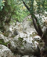 The gorge of Tsakonas in Kythera