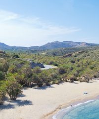 Vai Beach, Lasithi Crete