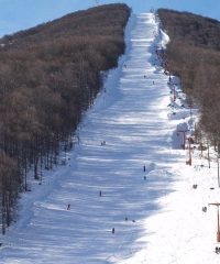 Ski resort of Vigla – Pisoderi