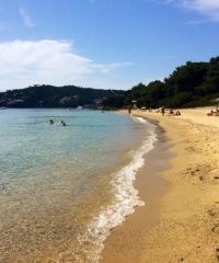 Παραλία Βρωμόλιμνος Σκιάθος
